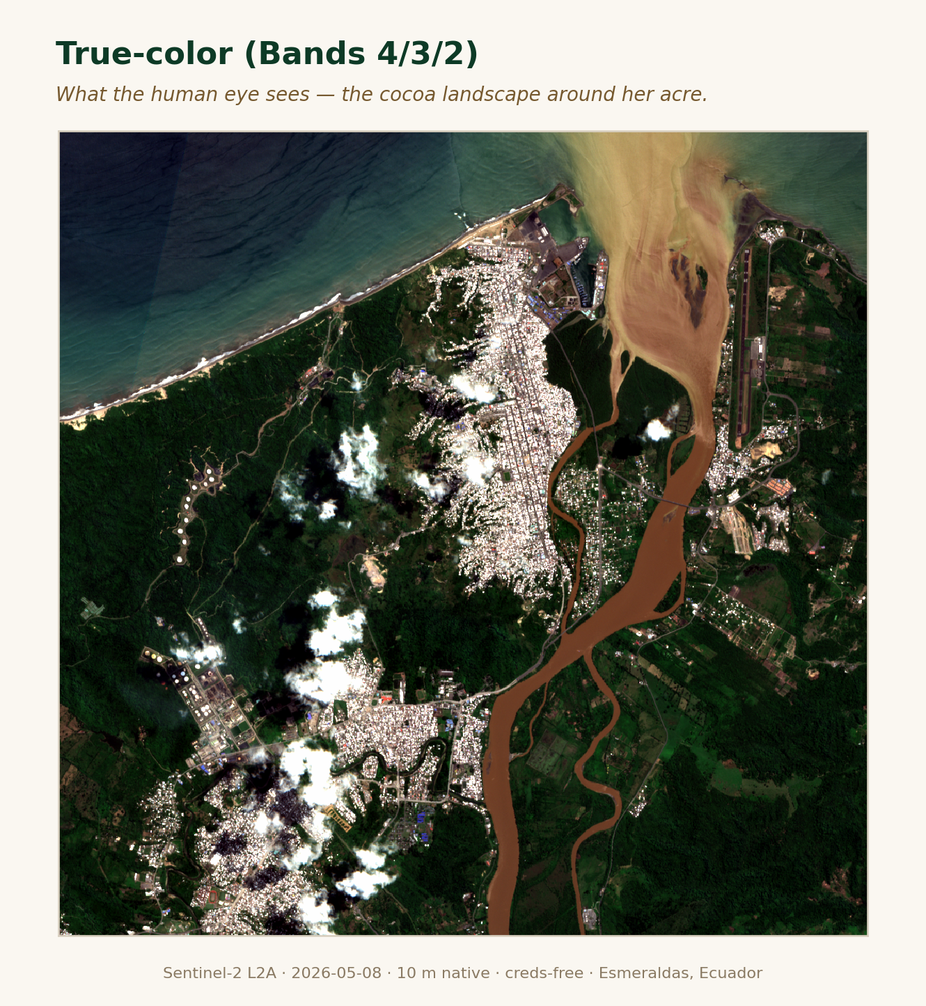 True-color Sentinel-2, plot ECU-ESM-COCOA-0001, 2026-05-08 — the acre as the eye sees it.