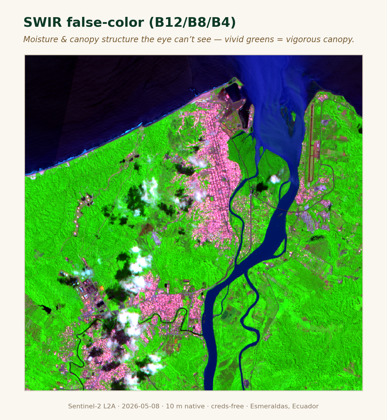 SWIR false-color Sentinel-2, plot ECU-ESM-COCOA-0001 — soil moisture and bare-soil contrast, the board-meeting view.